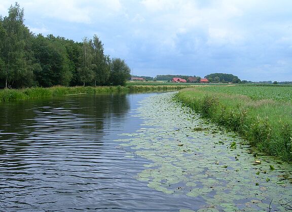 Stever am Ternscher See