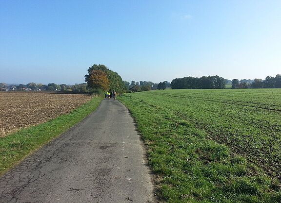 Hellweg-Route bei Hemmerde