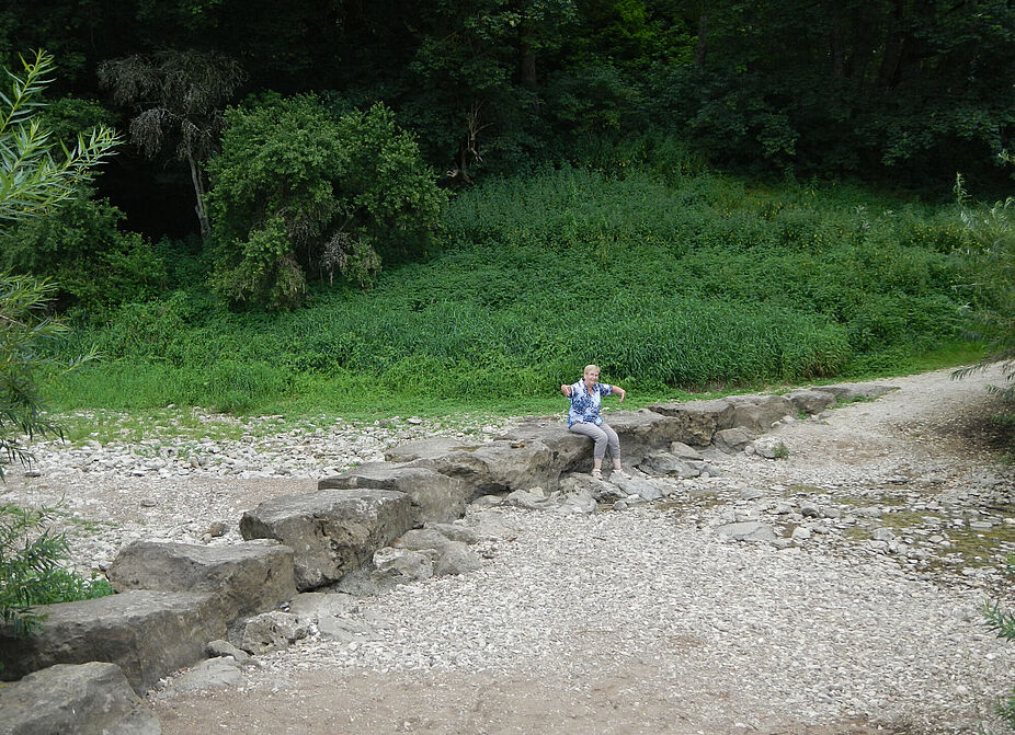 Vollständige Donauversickerung Vollständige Donauversickerung