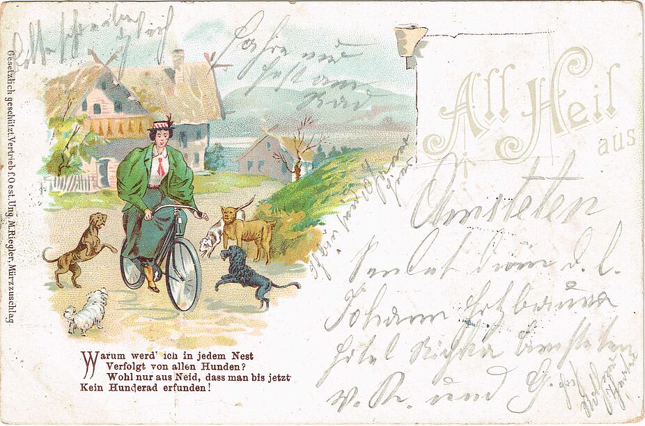 Hunde vs. Radfahrende