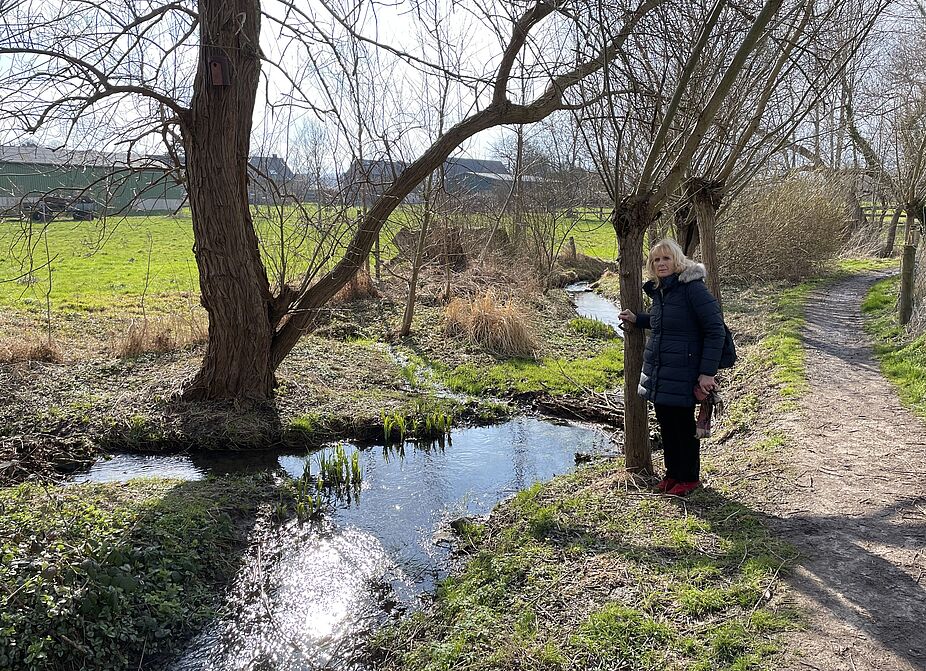 Weidenallee in Mühlhausen Weidenallee