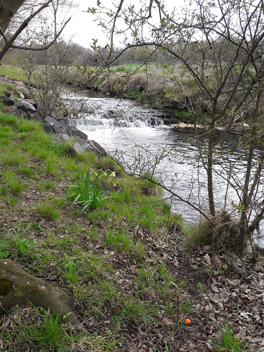 Baarbach bei Sümmern