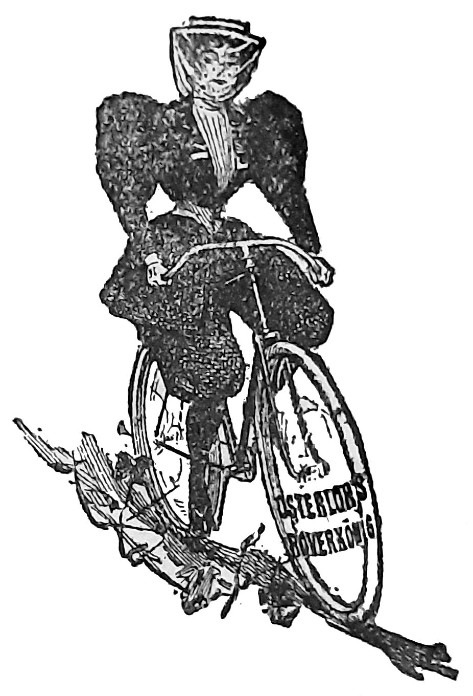 Osterlohs Roverkönig